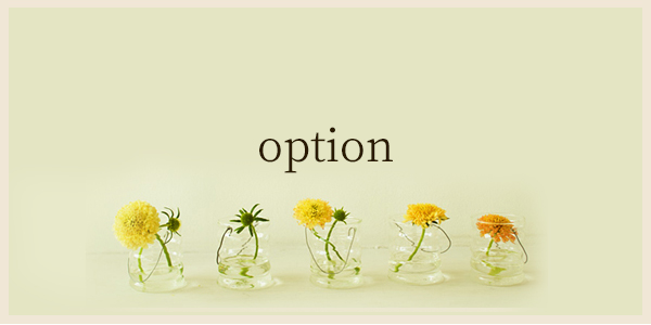 option